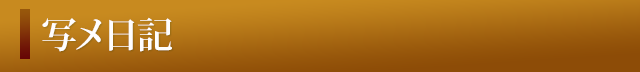 写メ日記
